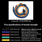 Sport Rubber Band For Fitness Equipment Resistance Bands Elastic Band For Pulling Up Gym Exercise Training Portable Body Sports